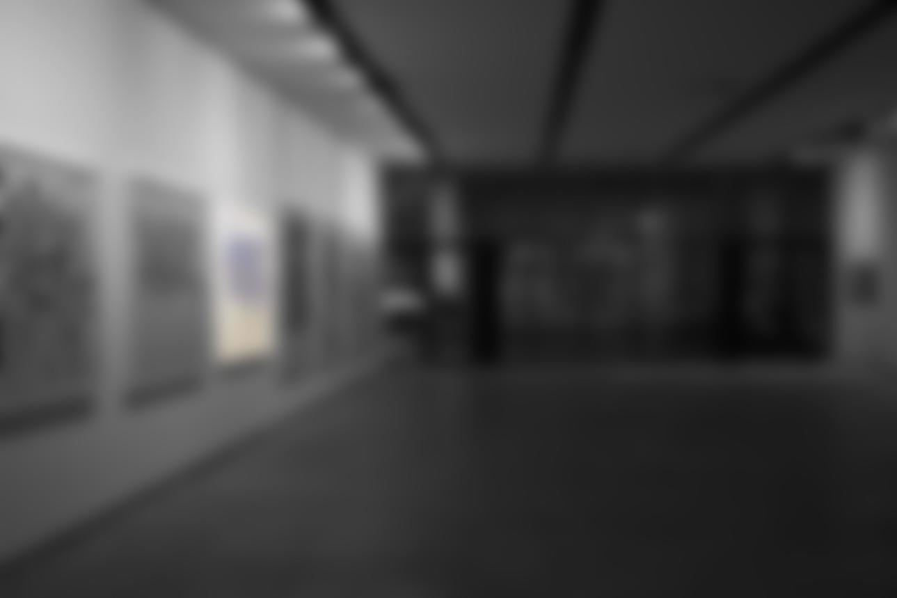 galerie 2 couleurs v3 flou.jpg