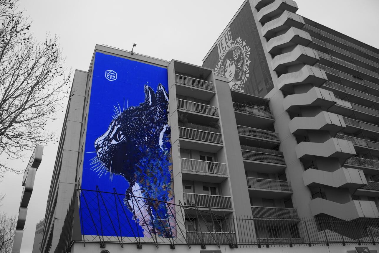 ville 1 couleurs.jpg